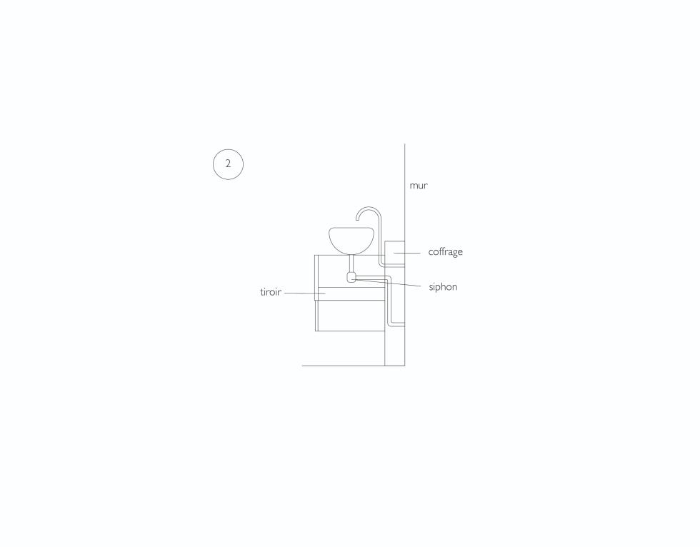 Siphon Plum Living