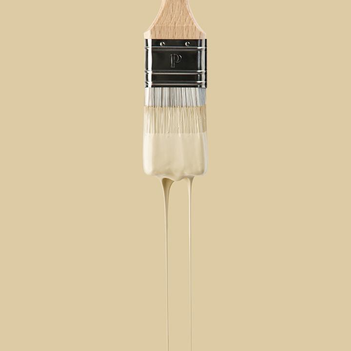 Wandfarbe | Beige 02 - Sable
