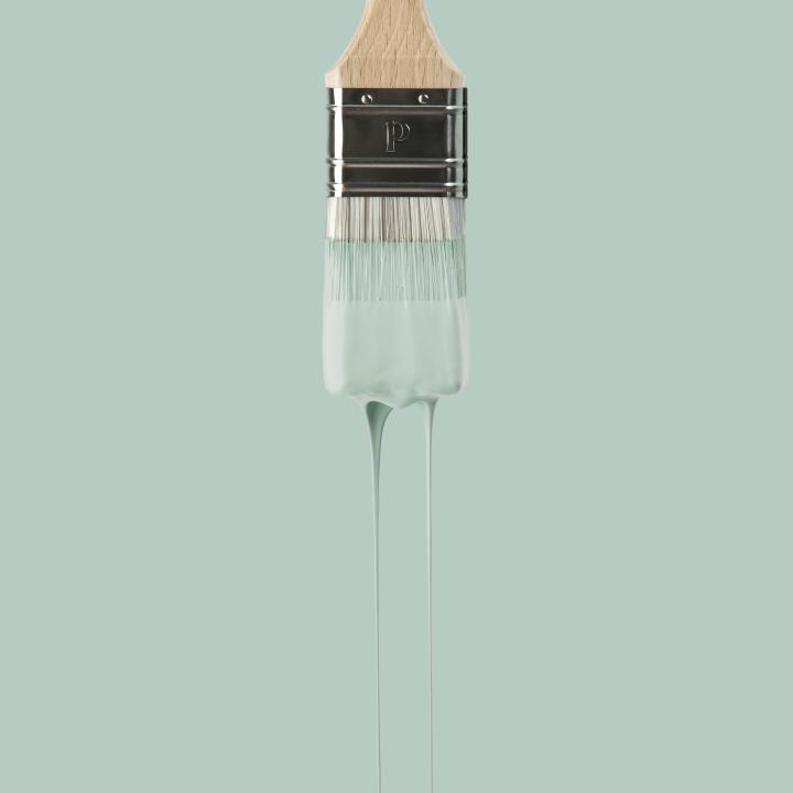 Wandfarbe | Grün 08 - Celadon
