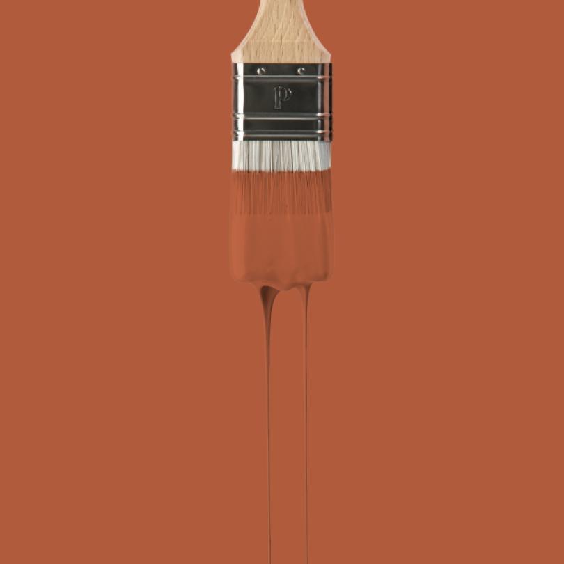 Wandfarbe | Rot 06 - Fauve