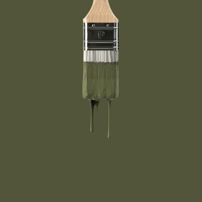 Wandfarbe | Grün 06 - Olive