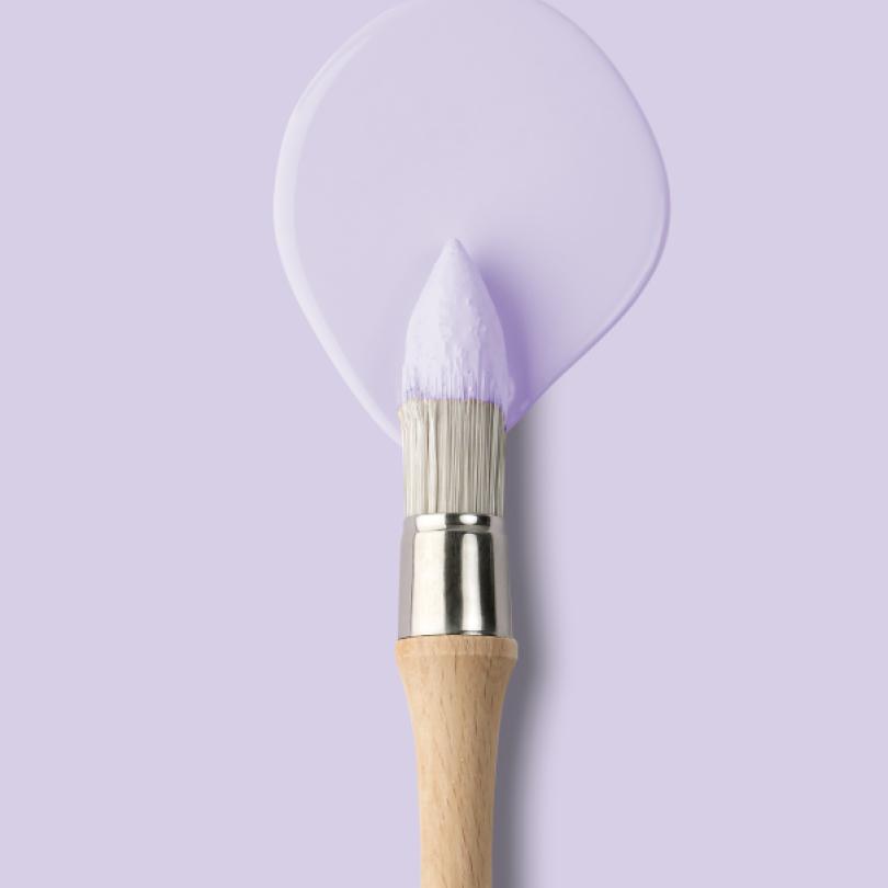 Wandfarbe | Beige 10 - Lilas