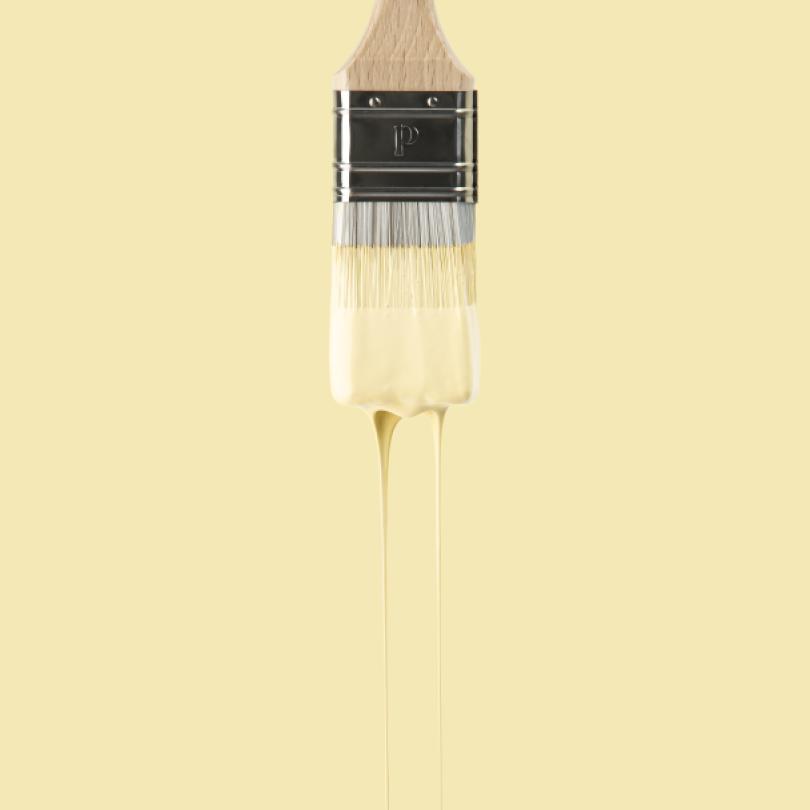 Wandfarbe | Beige 07 - Lemonade