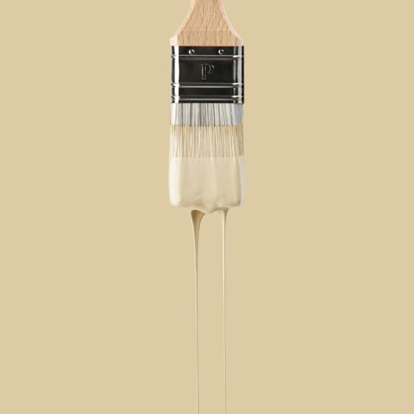 Wandfarbe | Beige 02 - Sable