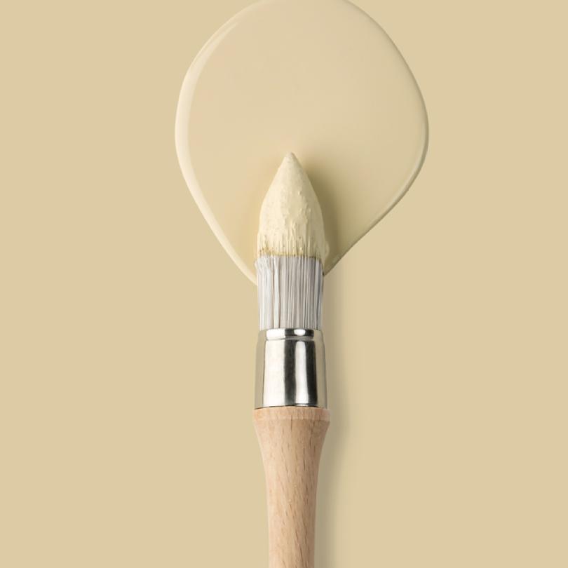 Wandfarbe | Beige 02 - Sable