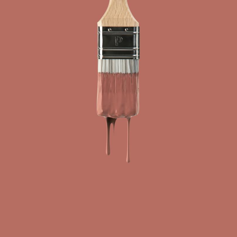 Wandfarbe | Rot 02 - Argile