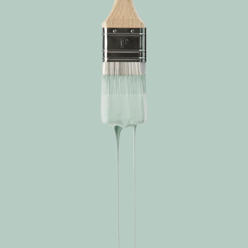 Wandfarbe | Grün 08 - Celadon