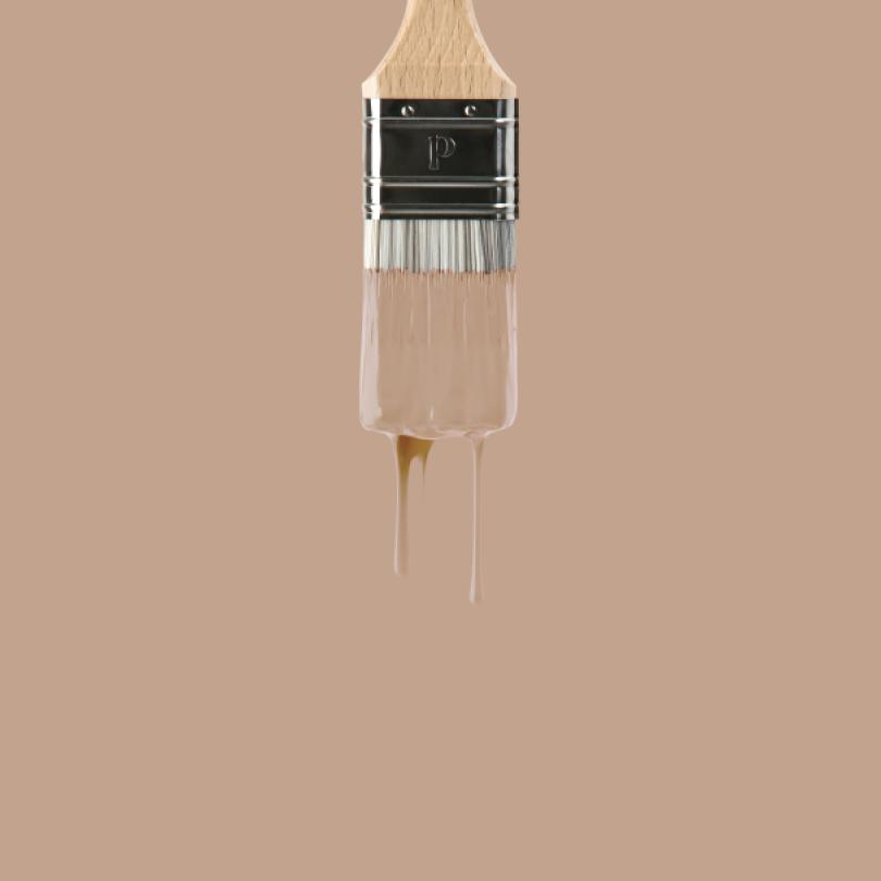 Wandfarbe | Beige 03 - Moka