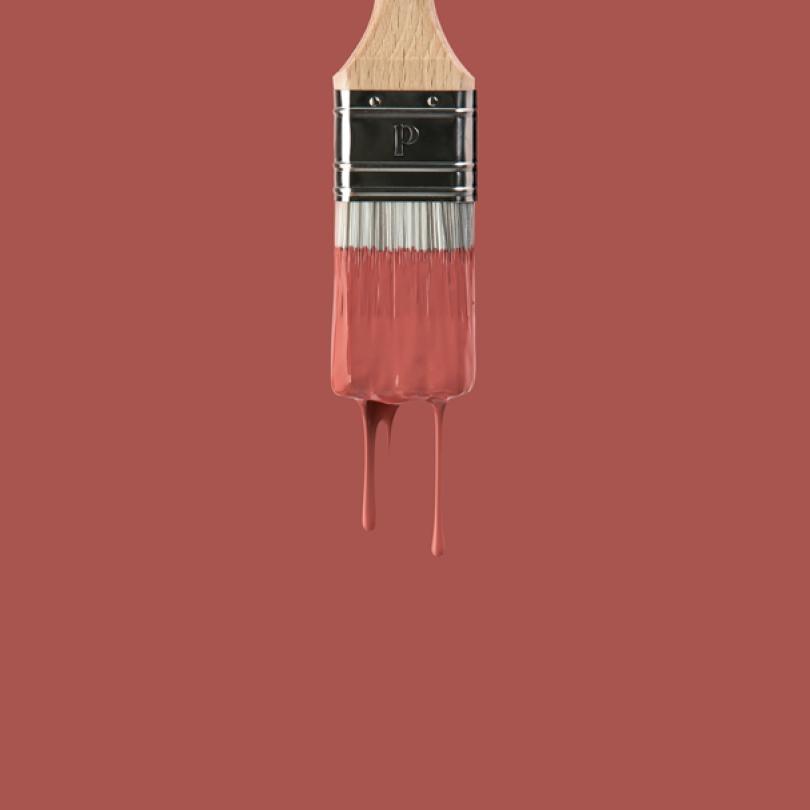 Wandfarbe | Rot 01 - Terra